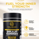 SHILAJIT GUMMIES